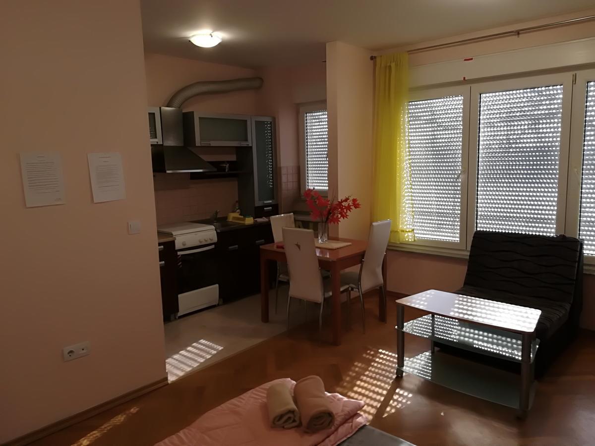 Guesthouse Sava سلافونسكي برود المظهر الخارجي الصورة