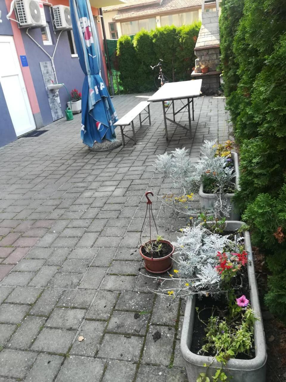 Guesthouse Sava سلافونسكي برود المظهر الخارجي الصورة