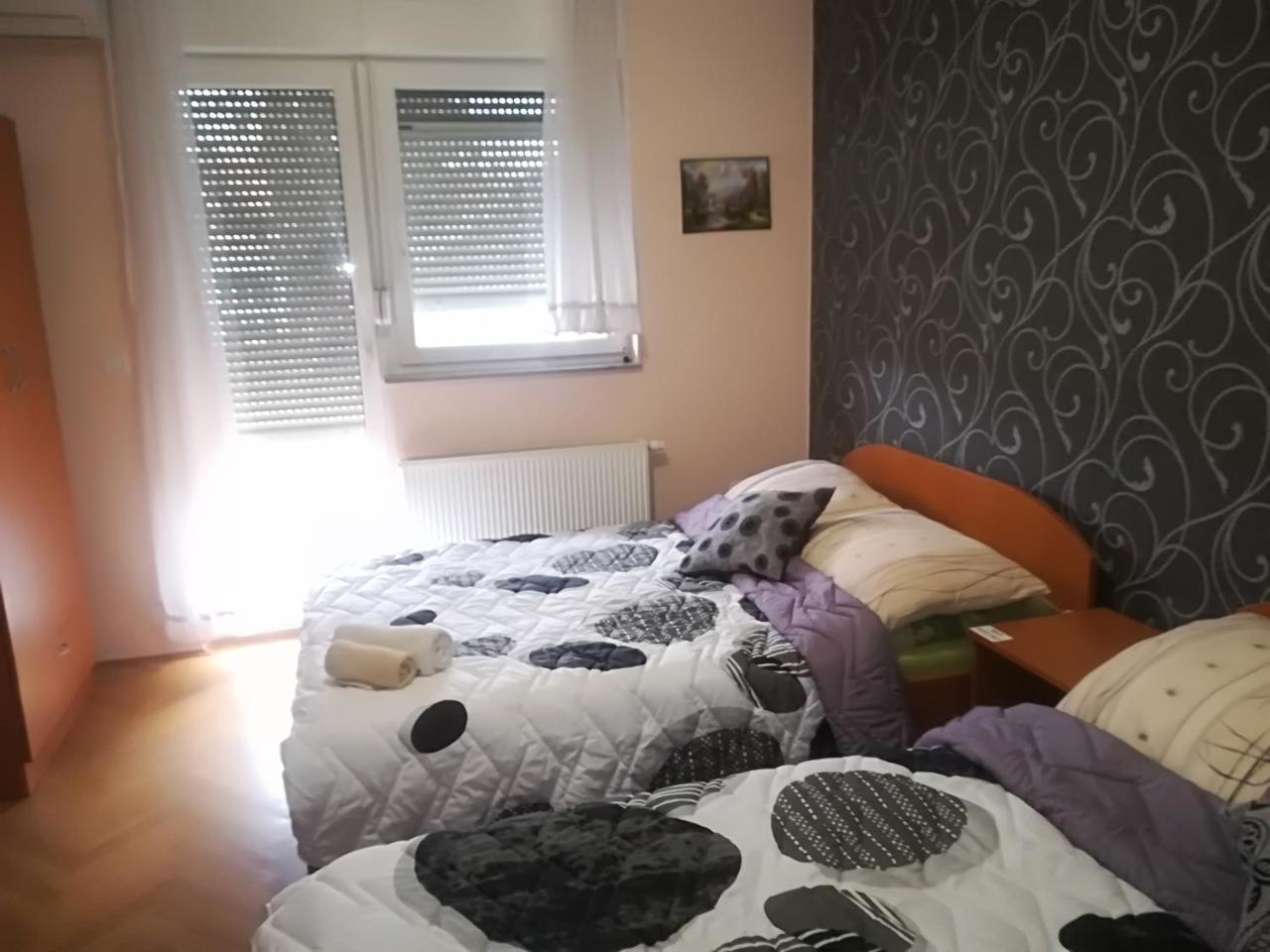 Guesthouse Sava سلافونسكي برود المظهر الخارجي الصورة