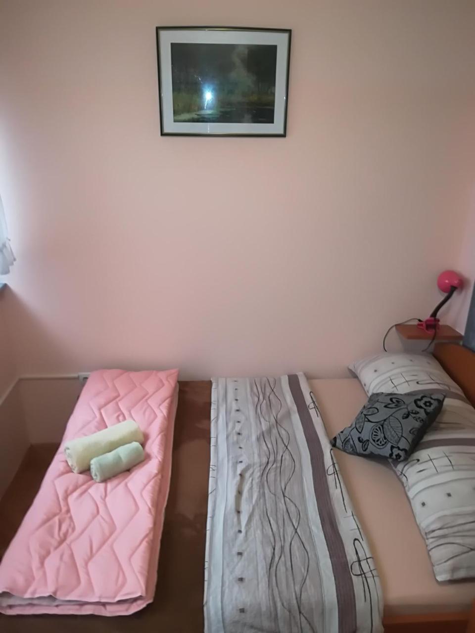 Guesthouse Sava سلافونسكي برود المظهر الخارجي الصورة